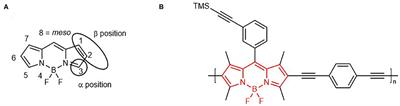 A Time-Resolved Spectroscopic Investigation of a Novel BODIPY Copolymer and Its Potential Use as a Photosensitiser for Hydrogen Evolution